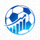 足球赛事网官方logo，蓝色足球图标